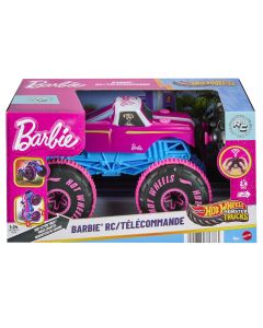 HOT WHEELS MONSTER TRUCKS RC Barbie džipas (JHW58)